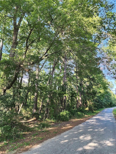 000 Shannon Dr, Leola, AR 72084