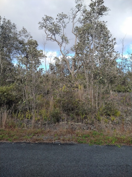 0 Tiki Ln Unit 725908, Ocean View, HI 96737