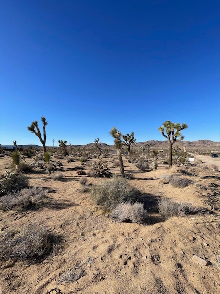 0 Saddleback Rd Unit 219127215DA, Joshua Tree, CA 92252