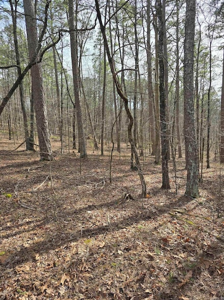Lot 010 Palencia, Hot Springs Village, AR 71909