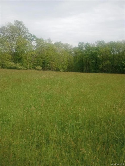 0 Myers Rd Unit ONEH6306391, Minisink, NY 10998