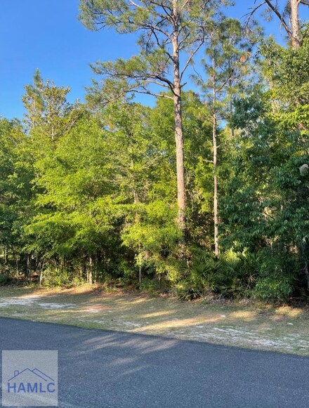 6432 Mount Pleasant Rd, Hortense, GA 31543