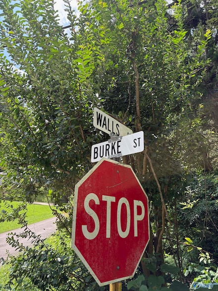 Lot 10 Walls St, Guntersville, AL 35976