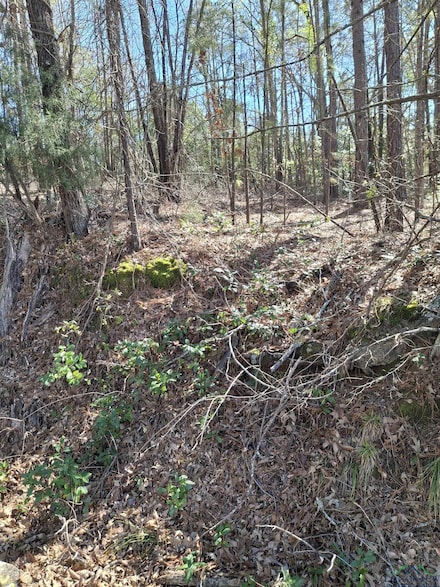 605 Sand Ave, Henderson, TX 75652