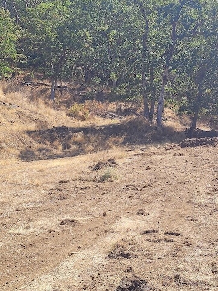 4862 N River Rd, Gold Hill, OR 97525