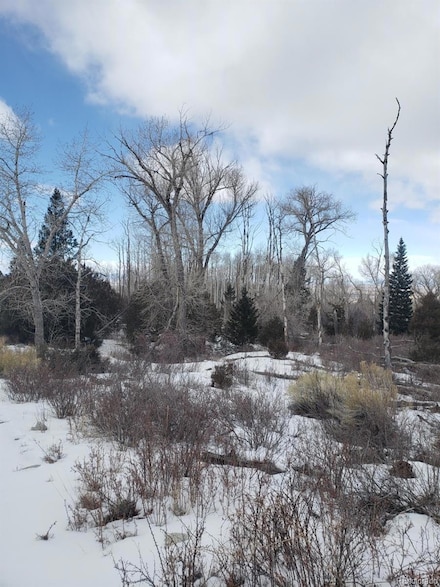 239 Mill Run, Hooper, CO 81136