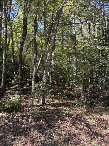 00 Panther Top Rd, Murphy, NC 28906
