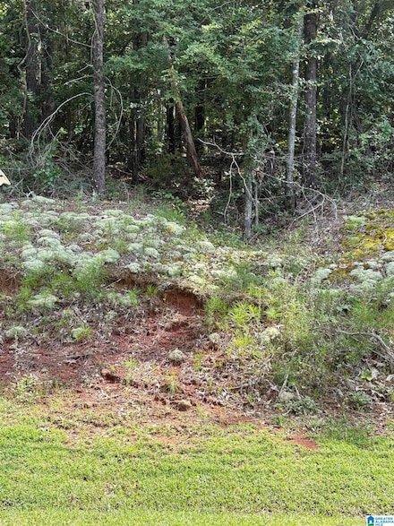 2242 Westwood Dr Unit 11, Alexandria, AL 36250