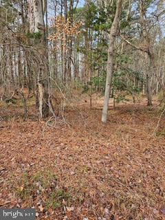 0 Abell Rd Unit MDSM2022598, Abell, MD 20606