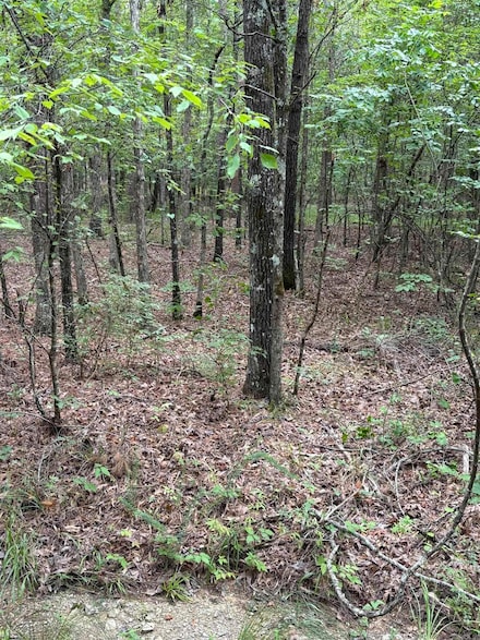 00 Venado Way, Hot Springs Village, AR 71909