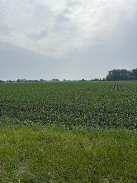 0 S Warner Bridge Rd, Custer Park, IL 60481