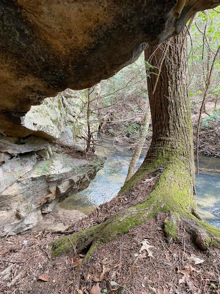 0 Lone Wolf Trail, Spencer, TN 38585