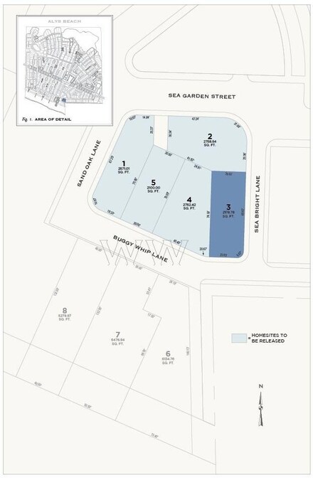 WW3 Buggy Whip Ln, Inlet Beach, FL 32413