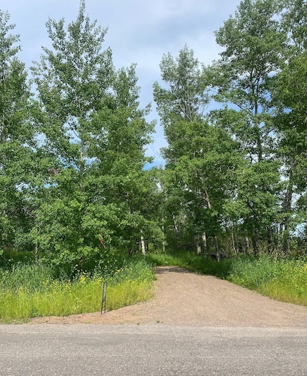 0 Xxx Hupp St NE, Braham, MN 55006