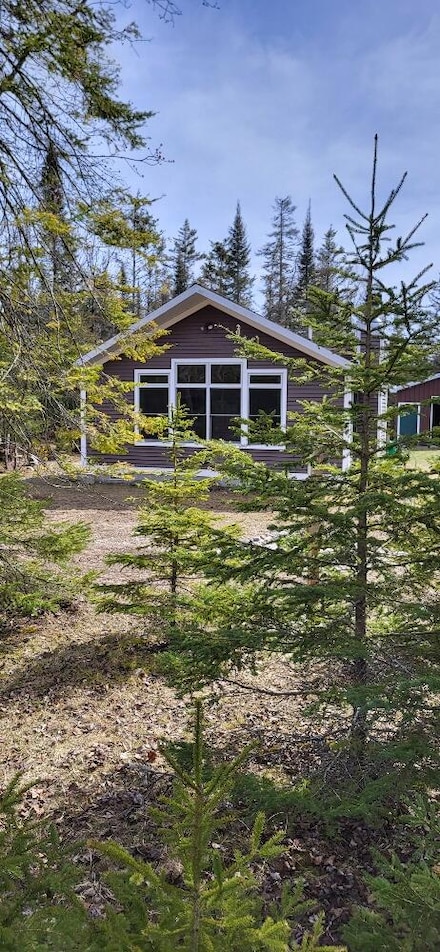 1402 Mcdougall St, Pointe Aux Pins, MI 49775