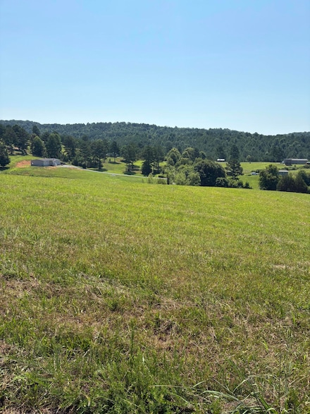 0 Goodfield Rd, Decatur, TN 37322