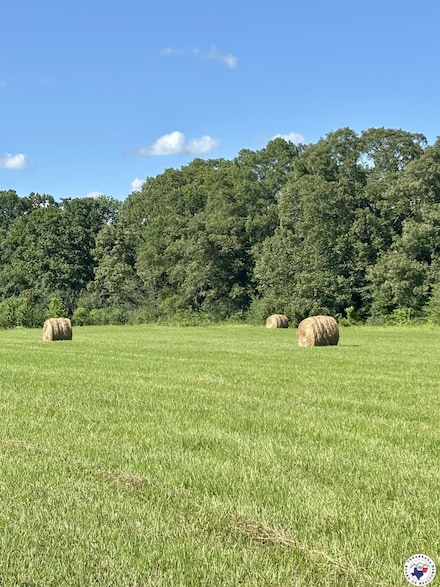 18.02 ac Daniels Chapel Rd, New Boston, TX 75570
