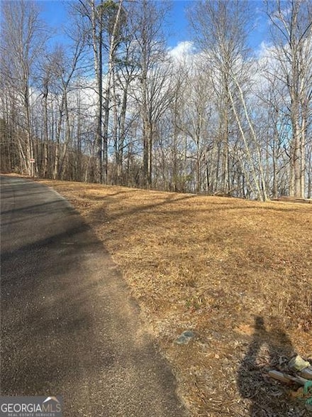 1091 Trestle Ridge Rd, Toccoa, GA 30577