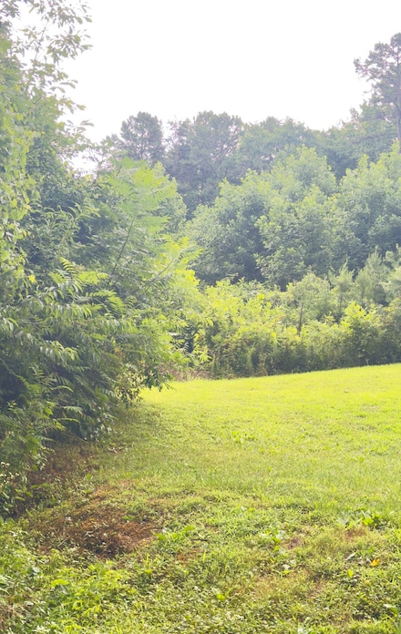 1111 Whitley Trails Subdivision, London, KY 40744