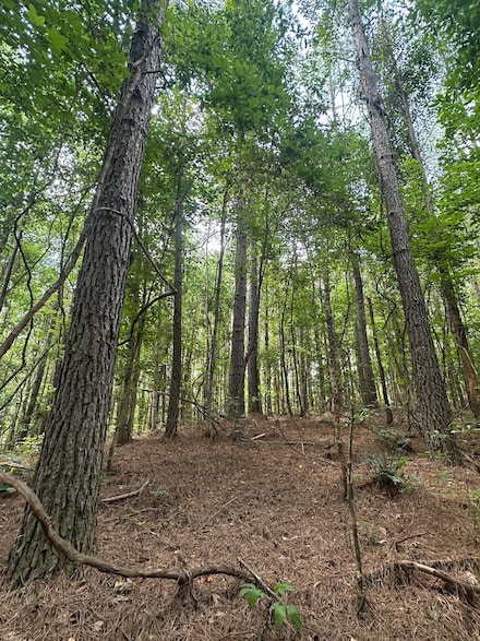0 Graham Rd, Berry, AL 35546
