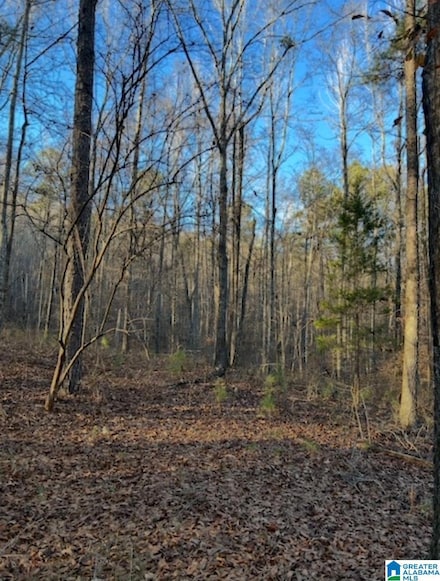 0 Moore Rd, Branchville, AL 35120