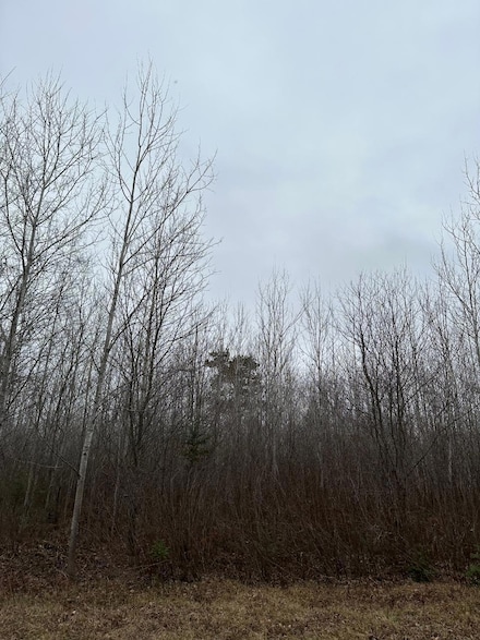 ON Burrows Lake Rd Unit 4067-A, Tomahawk, WI 54487