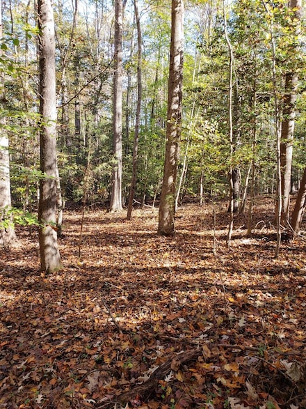 Lot 29 Section B, Gasburg, VA 23887