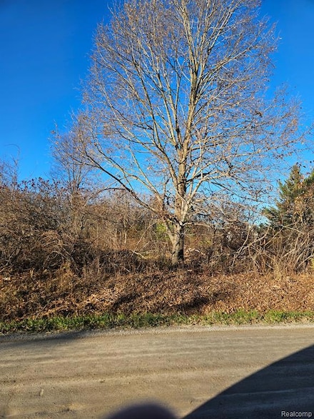 00 Hough, Almont Township, MI 48003