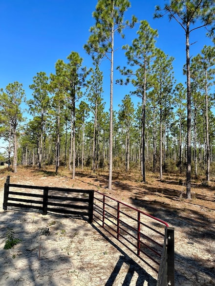 0 Lindsey Bridge Rd, Andalusia, AL 36420