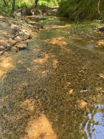 0 Williams Rd, Magnolia, MS 39652