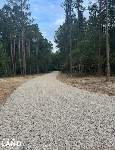 Lot 3i Oliver Wheat Rd, Livingston, LA 70754