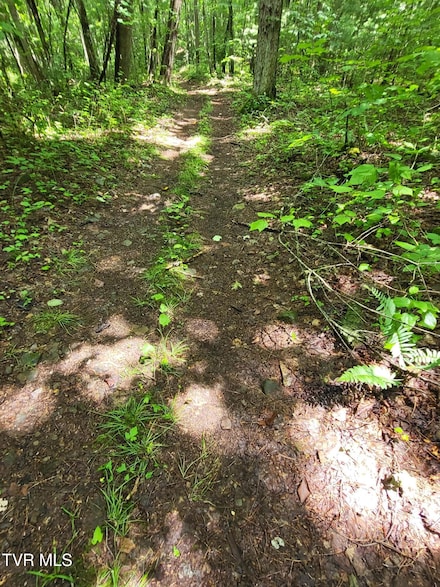 TBD Dry Branch Rd, Elizabethton, TN 37643