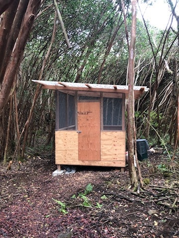 1 Lanai St, Pahoa, HI 96778