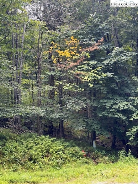 TBD Cranberry Ln, Beech Mountain, NC 28604