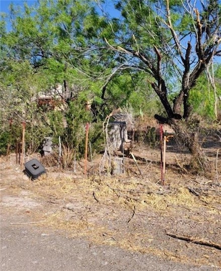 7 N Ebony Ave, Roma, TX 78584