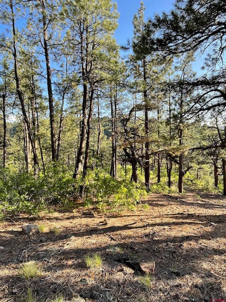 TBW W Hwy 160, Durango, CO 81301