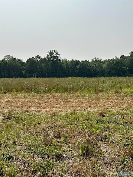 Tract 32 Hays Mill Rd, Elkmont, AL 35620