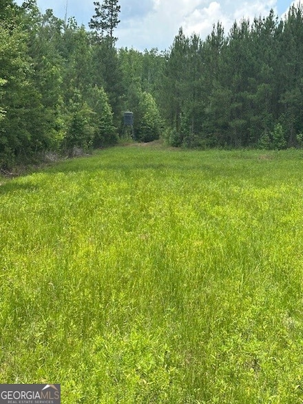 0 Jordan Rd Unit 10540967, Waverly Hall, GA 31826