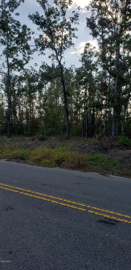 2079 Ventage Ln, Sneads, FL 32460