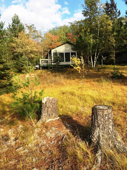 9712 S High Banks Rd, Eckerman, MI 49728