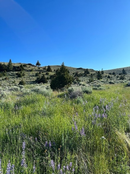 Tract 1C-2, 162.2ac Meagher Trail, Virginia City, MT 59729