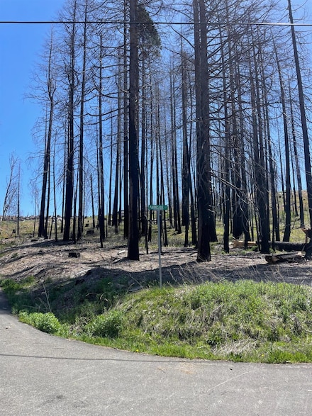 5106 Parkside Dr, Grizzly Flats, CA 95636