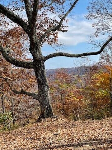 0 Old Harris Turnpike Rd Unit 1350065, South Pittsburg, TN 37380