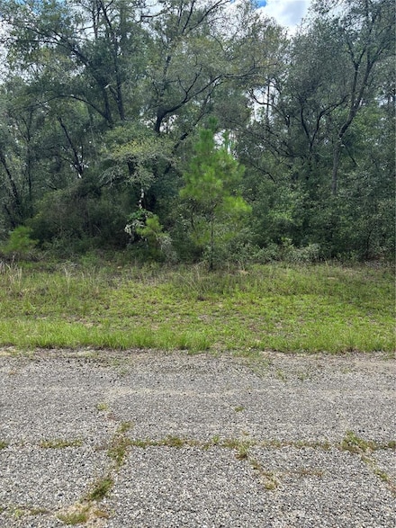 875 E Elston Place, Citrus Springs, FL 34434