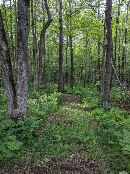 22803 Paulich Rd, Lewis, WI 54837