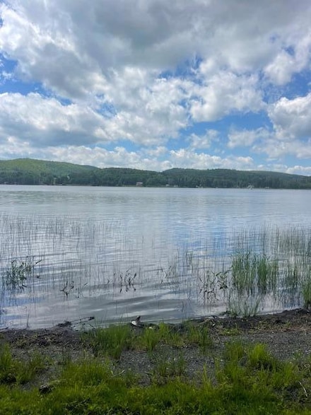 911 Sly Brook Rd, Wallagrass, ME 04781