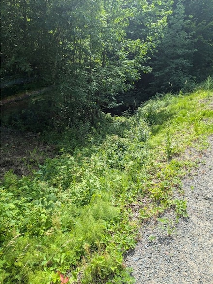 Lot 1 165th Ave, Colburn, WI 54768