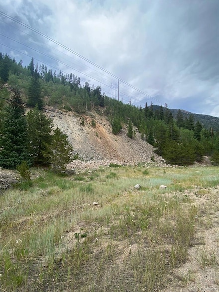 0 Highway 40 W, Empire, CO 80438