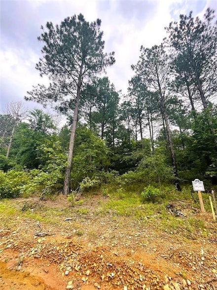 10 Upper Vista Ridge Trail, Broken Bow, OK 74728