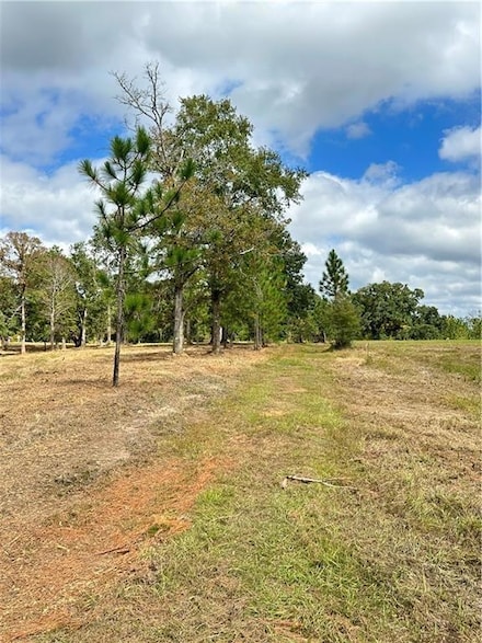 0 Hampton Rd Unit 7543872, Mobile, AL 36608